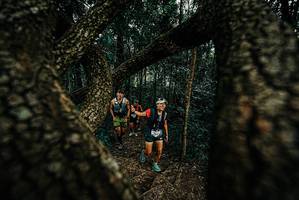 BIB: 
                            <button type="button" onclick="openModal(25673297)" class="btn btn-primary btn-sm float-right btn-popup" data-toggle="modal" data-target=".modal-high-quality">
                        <i class="fas fa-shopping-cart"></i> Add to Cart
                    </button>
                                            <button type="button" onclick="isThisMe(25673297, true)" class="btn btn-success btn-sm float-right btn-popup btn-isme hidden" data-toggle="tooltip" data-placement="bottom" title="นี่คือรูปของคุณใช่ไหม คลิกที่นี่เพื่อเอาเข้าอัลบั้ม">
                        <i class="fas fa-plus"></i> Add to album
                    </button>
                    <button type="button" onclick="isThisMe(25673297, false)" class="btn btn-warning btn-sm float-right btn-popup btn-isnotme hidden">
                        <i class="fas fa-ban"></i> Remove from album
                    </button>